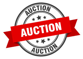 2023 SVARA Auction